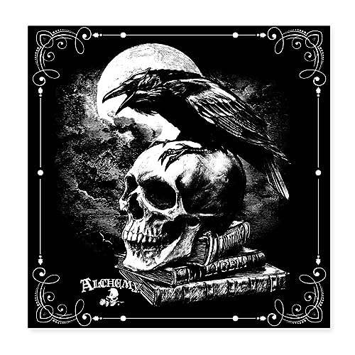 Spreadshirt Alchemy England Rabe Poe's Raven Totenkopf Poster 20x20 cm, One size, weiß von Spreadshirt