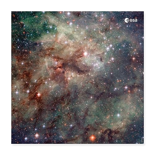 Spreadshirt ESA European Space Agency Hubble Teleskop Tarantula Nebula Nebel Poster 40x40 cm, One size, weiß von Spreadshirt