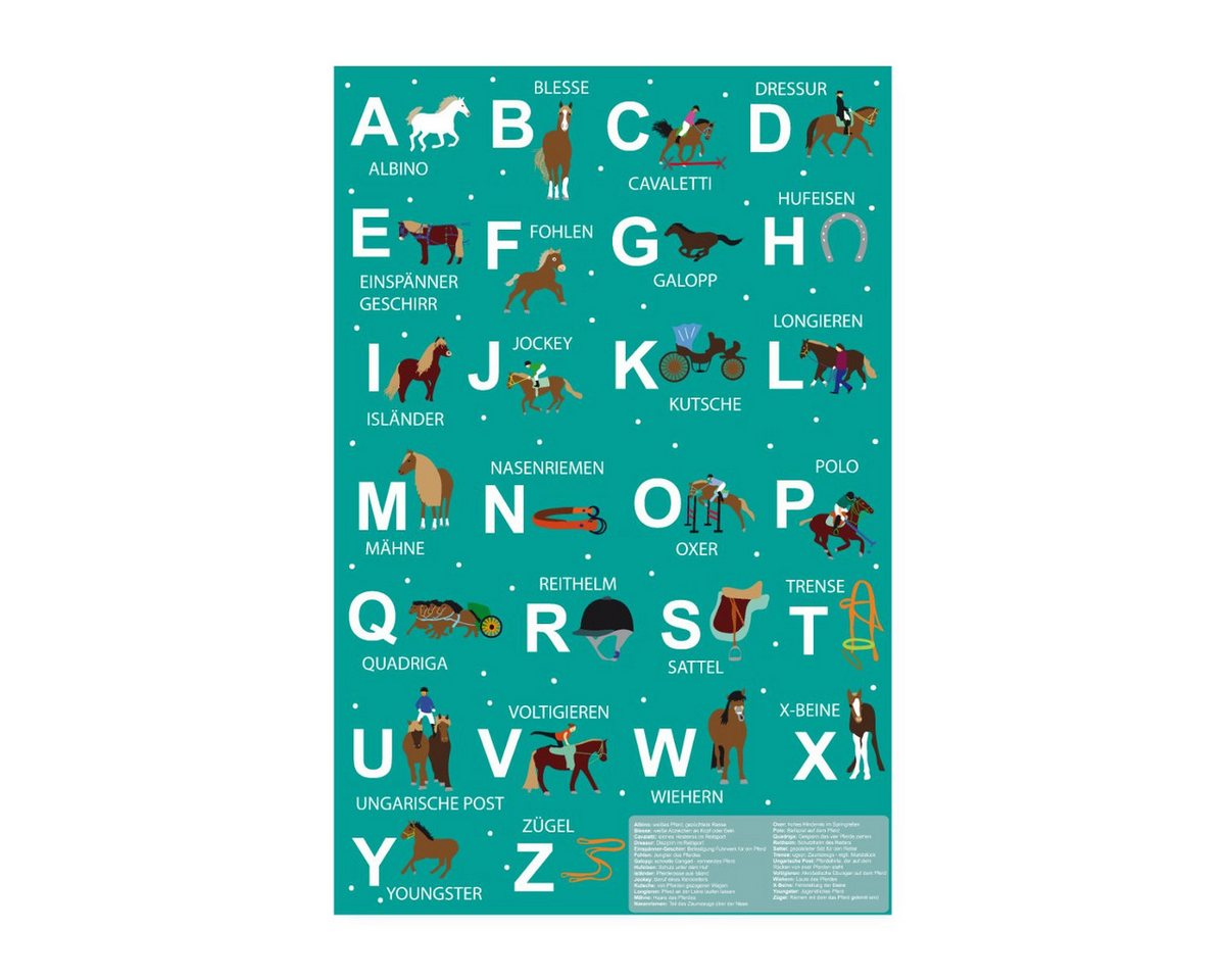 Spreadshirt Poster Alphabet-Lernposter Pferde Für Grundschüler Poster 20x30 cm Spreadshirt Poster Alphabet-Lernposter Pferde Für Grundschüler Poster 20x30 cm von Spreadshirt
