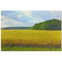 Holzdruck 50x75cm - Rapsfeld Spreewaldliebe von Spreewaldliebe
