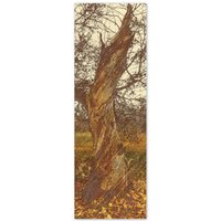 Wanddeko/Holzdruck 30x90cm- Still Alive - Spreewaldliebe Wanddeko/Holzdruck 30x90cm- Still Alive - Spreewaldliebe von Spreewaldliebe