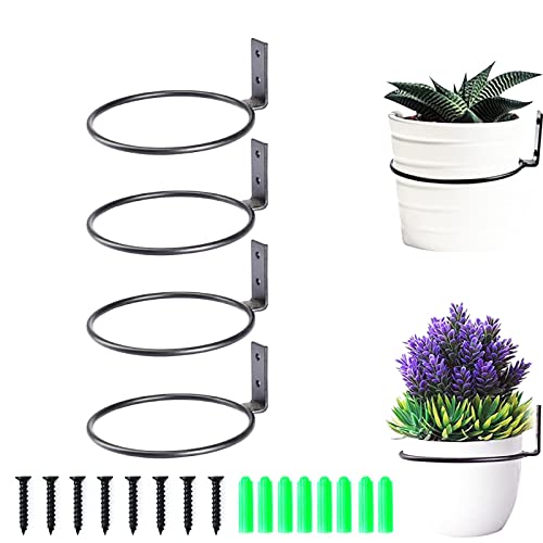 Sprießen 4 Stück Wandhalterung Blumentopf,Wand Ring Blumentopfhalter,Blumentopf Wandhalterung, Metall Pflanzer Kleiderbügel mit Schrauben,für Haus Gartenterrasse Balkon Pflanzel(4 Zoll) von Sprießen