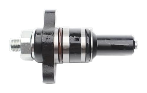 Einspritzdüsen Für Common Rail CP2.2 F019003313 Hochdruck-Ölpumpenkolben Diesel-Kraftstoffeinspritzdüsen Für Automobile Einspritzdüsen Für Common Rail CP2.2 F019003313 Hochdruck-Ölpumpenkolben Diesel-Kraftstoffeinspritzdüsen Für Automobile von Spring talks