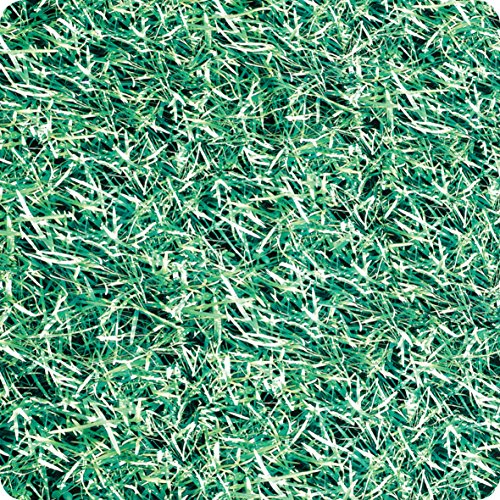 SPRINGBOARD 10298 Gras Display Stoff von Springboard