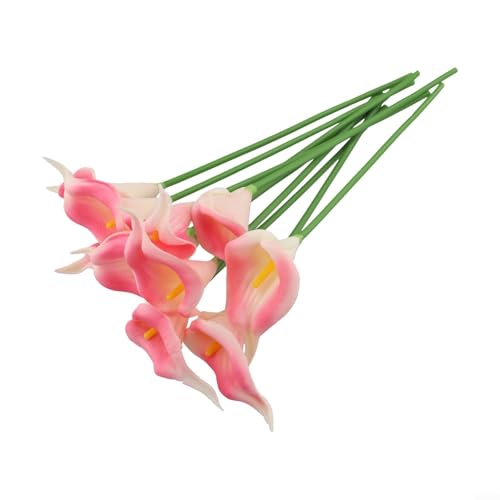Atemberaubende 10 Stück Calla-Lilien Kunstblumen für Heimdekoration, 34 cm lang, für kreative Arrangements (hellrosa) von Springwillfly