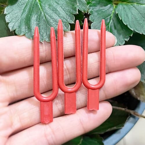 Essential Gardening Tools Erdbeergabeln mit einfach zu bedienenden Erntebeuteln, 100 Stück Essential Gardening Tools Erdbeergabeln mit einfach zu bedienenden Erntebeuteln, 100 Stück von Springwillfly