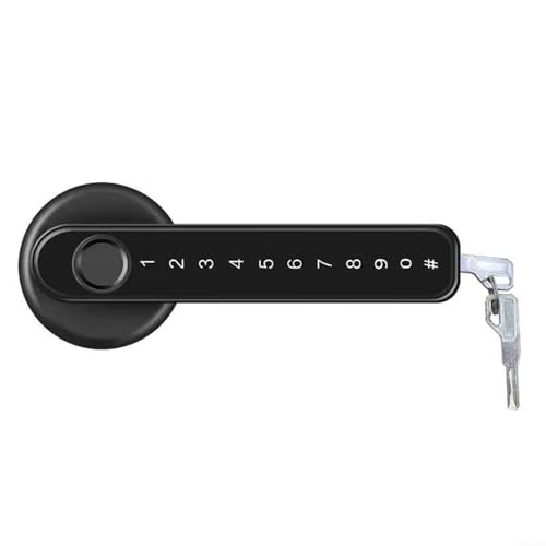 Fingerprint Smart Lock mit Tastatur und Backup-Schlüssel, USB-Ladeanschluss und App-Integration für Smart Homes (Schwarz) von Springwillfly