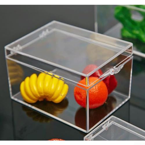 Für ct Proben Vitrine Transparente Aufbewahrungsbox für Desktop und Schmuck (I) von Springwillfly