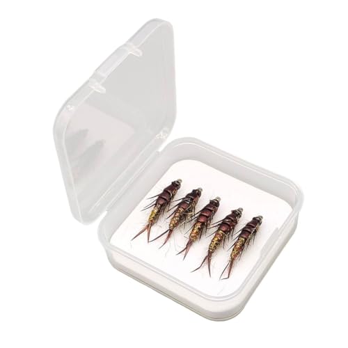 Nymph Stonefly Angelköder 5 Stück Insekten-Imitationsköder für Forelle, Lachs und Hecht, wasserdichte Aufbewahrungsbox von Springwillfly