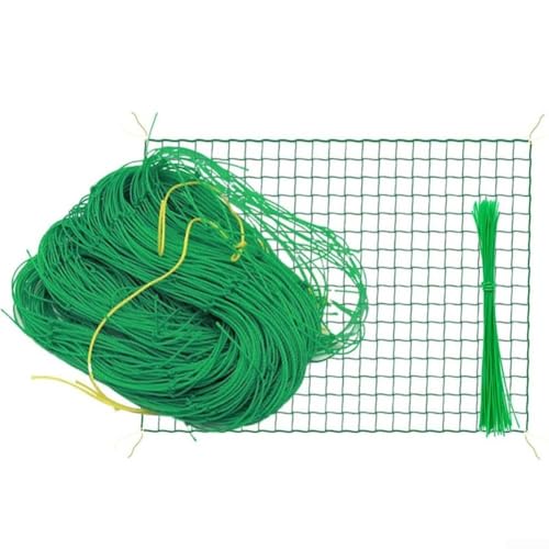 Rankgitter für den Garten, für effektive Pflanzenunterstützung, perfekt für Bohnen und Klettergemüse, Material (2 m x 10 m) von Springwillfly