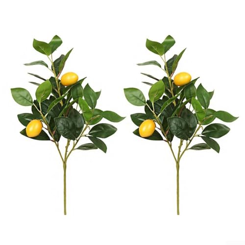 Realistische Zitronen-Ornamente, 2-teiliges Set für Heimdekoration und Blumenarrangements (B) von Springwillfly