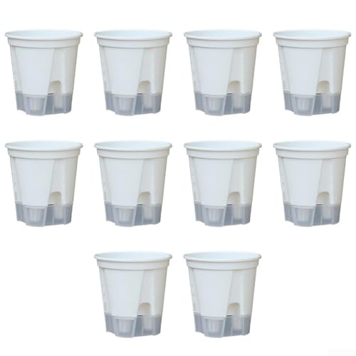 Selbstbewässernde Blumentöpfe 10er Set, transparente Orchideen-Pflanzgefäße mit Drainagelöchern für einfache Wartung (150) von Springwillfly