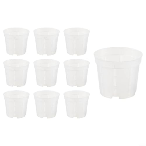 Springwillfly 10er Set Transparente Orchideentöpfe, Kunststoff Pflanzgefäße mit Drainagelöchern für Wurzelgesundheit, Klare Blumentöpfe für Phalaenopsis (Mittel) von Springwillfly