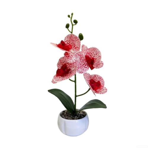 Springwillfly 3D-bedruckter Blumentopf mit Phalaenopsis, künstliche Orchidee, künstliche Phalaenopsis-Pflanze für Tischdekoration (rot) von Springwillfly
