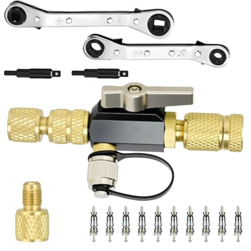 Springwillfly Auto-Ventilkernentfernungswerkzeug-Set mit Doppel-O-Ring-Kugelhahn-Dichtung für R410 R22 R12 Systeme 1/4 und 5/16 Zoll Springwillfly Auto-Ventilkernentfernungswerkzeug-Set mit Doppel-O-Ring-Kugelhahn-Dichtung für R410 R22 R12 Systeme 1/4 und 5/16 Zoll von Springwillfly