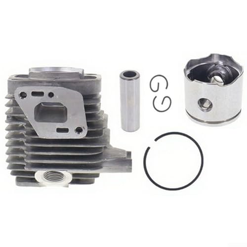 Springwillfly Zylinderkolben-Kit kompatibel mit Serie GT225 PE225 SHC225 SRM225, Ersatz der Teilenummer A130002100, inkl. Kolbenstift, Unterlegscheibe Springwillfly Zylinderkolben-Kit kompatibel mit Serie GT225 PE225 SHC225 SRM225, Ersatz der Teilenummer A130002100, inkl. Kolbenstift, Unterlegscheibe von Springwillfly