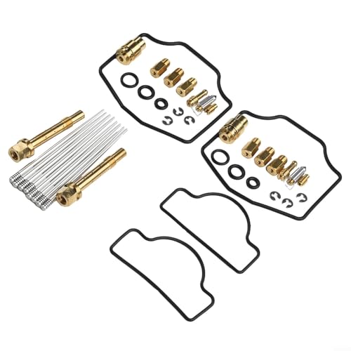 Vergaser Reparatursatz für Suzuki RGV250 Gamma Modelle, kompatibel mit VJ21 1988 91 und VJ22 1991 96, 2 Kits von Springwillfly