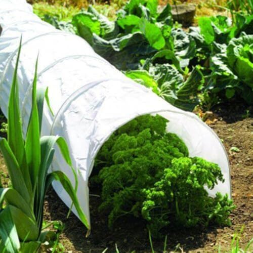 Zuverlässige Gartenbauabdeckung zur Unterstützung des Pflanzenwachstums und zum Schutz (2 Meter breit) von Springwillfly