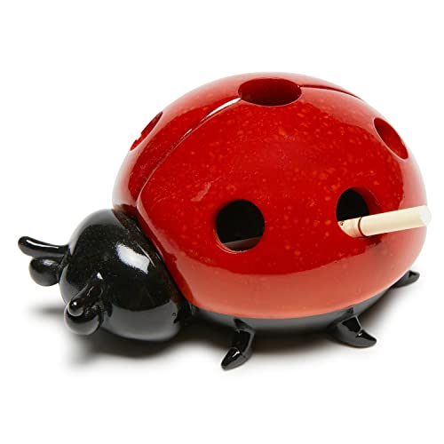 Fantasy Aschenbecher Aschenbecher für Raucher Zigaretten Desktop Dekoration Garten Statue Geschenk Outdoor Rasen Terrasse Geschenk für Home Office Balkon Hof Rasen von Spsods