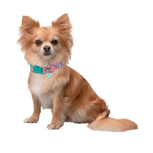 Squishmallows Original Squish Squad Haustierhalsband, Größe S, offizielle Jazwares Haustierbekleidung für Hunde Squishmallows Original Squish Squad Haustierhalsband, Größe S, offizielle Jazwares Haustierbekleidung für Hunde von Squishmallows