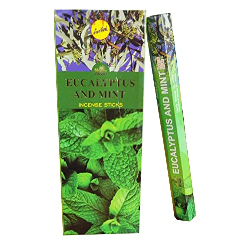 Räucherstäbchen 120 Sticks Eucalyptus Mint 6 Schachteln zu je 20 Stäbchen Vorratspackung Wohnaccessoire Raumduft von Sree Vani