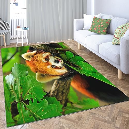 GrüNer Roter Panda Kinderzimmer Teppich 160x230cm - Flanell Kurzflor Teppich für Wohnzimmer, Schlafzimmer, Spielzimmer, Outdoor, Eingangsmatte - Weiche rutschfeste Teppich Waschbar Teppiche von Srigzcaly