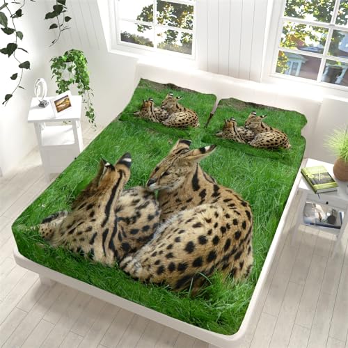 Spannbettlaken 140x200cm Tierisches Serval-Katzenmuster Bettlaken, Matratzenschoner Spannbetttuch aus Mikrofaser, für Boxspringbetten Atmungsaktiv Bettwäsche Tiefe Tasche 30cm mit 2 Kissenbezügen von Srigzcaly