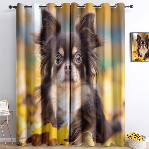 Srigzcaly 2 Paneele 3D Verdunkelungsvorhänge 183x214cm Tier-Chihuahua Vorhange Wärmedämmend, Polyester Anti-Fade, Braun Ösenvorhänge für Schlafzimmer, Kinderzimmer, Wohnzimmer Srigzcaly 2 Paneele 3D Verdunkelungsvorhänge 183x214cm Tier-Chihuahua Vorhange Wärmedämmend, Polyester Anti-Fade, Braun Ösenvorhänge für Schlafzimmer, Kinderzimmer, Wohnzimmer von Srigzcaly