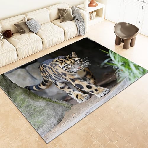 Srigzcaly Kurzflor Rechteck Teppich Wohnzimmer 60x90cm Tier Nebelparder Waschbarer Teppich für Mädchen Junge Schlafzimmer, Grau Kinderzimmer Flauschig rutschfest Teppiche von Srigzcaly