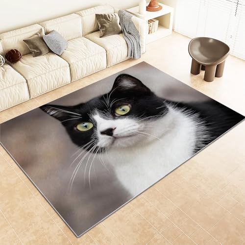 Srigzcaly Kurzflor Rechteck Teppich Wohnzimmer 80x150cm Tiere Schwarze und WeißE Katze Waschbarer Teppich für Mädchen Junge Schlafzimmer, Schwarz und Weiß Kinderzimmer Flauschig rutschfest Teppiche von Srigzcaly