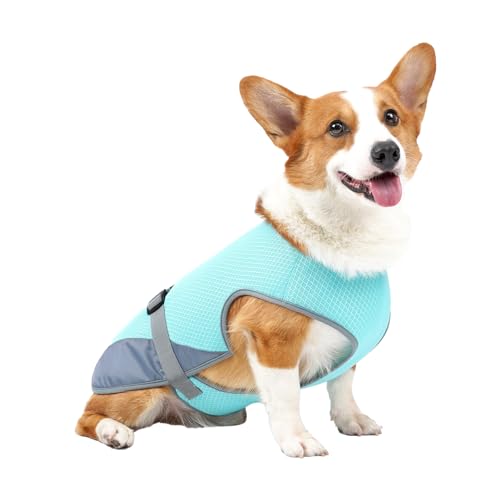 Kühlweste für Hunde, Atmungsaktive Kühljacke für Hunde, Leichtes Kühlshirt für Haustiere für Sommerliche Outdoor-Aktivitäten (Hellblau) von Srliya