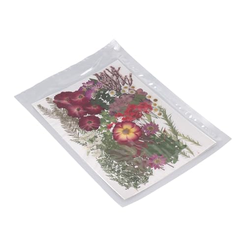 Srliya 100 Stück Gepresste Blumen, Handgefertigtes Getrocknetes Blumenkit für DIY -Handwerk, Geschenke, Beinhaltet Transparente Vakuumverpackungen, Geeignet für Nagelkunst, von Srliya
