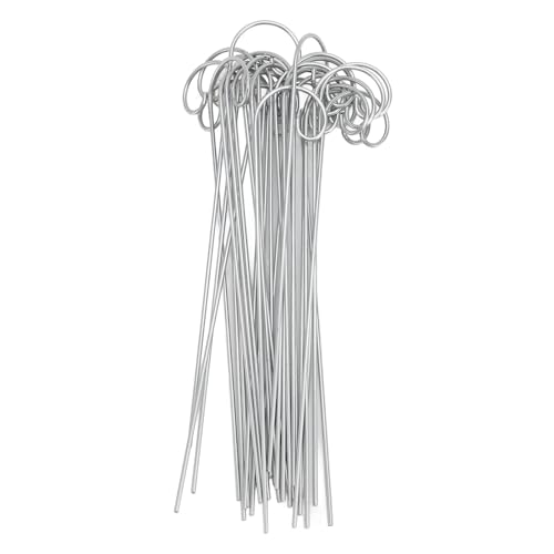 Srliya 30pcs Pflanzetikett Haken Halter Edelstahl Garten Marker Stake Plant Schild für Blumen Pot Bonsai 200 Mm Srliya 30pcs Pflanzetikett Haken Halter Edelstahl Garten Marker Stake Plant Schild für Blumen Pot Bonsai 200 Mm von Srliya