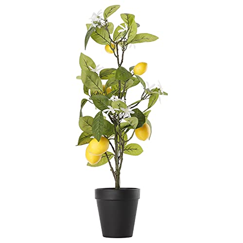 Srliya Künstlicher Zitronenbaum, Künstliche Pflanzen in Töpfen, Künstlicher Mini-Zitronenbaum Im Topf, Bonsai für Heimdekoration (24,4 Zoll) von Srliya
