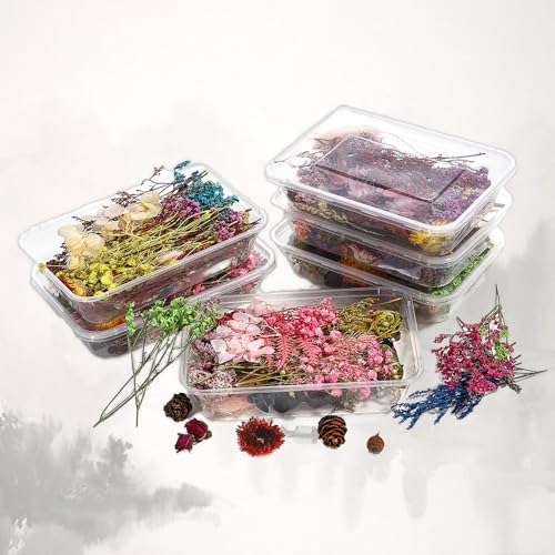 Srup 2 Boxen DIY Natürliche Getrocknet Blumen Set, Blumen Natürliche Gemischte, Gepresste Blumen Gemischte Getrocknete Blätter, Natürliche Getrocknete Blumen, DIY getrocknete Blumen Set von Srup