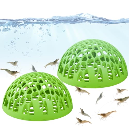 Ssdkpe Shrimp Hide, Fish Tank Shelter for Betta, Shrimp Resting Hide for Tropical Fish School Environment Home Office Desk Aquarium Enthusiasten Ssdkpe Shrimp Hide, Fish Tank Shelter for Betta, Shrimp Resting Hide for Tropical Fish School Environment Home Office Desk Aquarium Enthusiasten von Ssdkpe