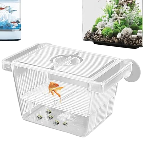 Fischzüchtungskiste abnehmbar transparent Kleiner Tank für Fisch und Garnelen von Ssguopte