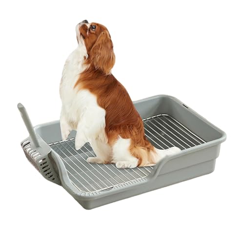 Ssguopte Hundetopfschale, Edelstahl -Mapen -Töpfchenschale mit Schutzwand und Schaufel, die Pfoten trockener Hundedrüsenschachtel für kein Leck, Verschütten, Unfall halten von Ssguopte
