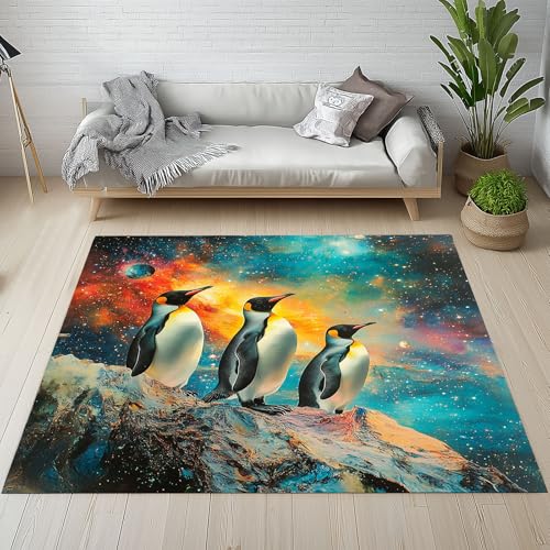 Sshjfeu Antarkti Pinguin Fussmatte Innen Outdoor Teppich, Sternenhimmel Teppiche Kurzflor Waschbar rutschfest 80x150, Niedliche Tiere Fussmatte Aussen Schmutzfangmatte, Kleiner Teppich von Sshjfeu