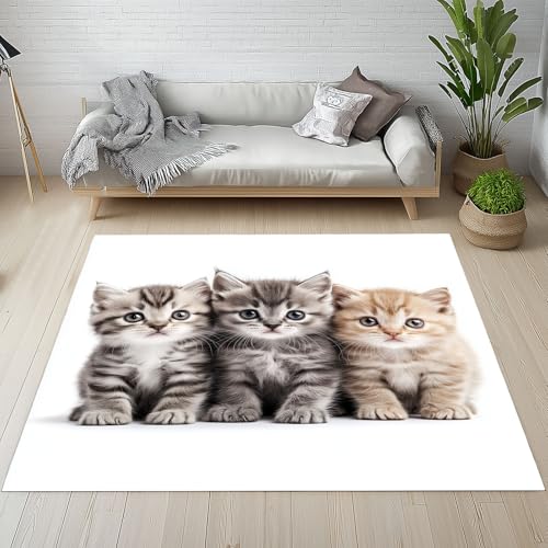 Sshjfeu Niedliche Katze Fussmatte Aussen Schmutzfangmatte 80x120, Süße Kätzchen Teppiche, Fussmatte Innen Outdoor, Kleiner Teppich Haustier, Waschbar Kurzflor rutschfest Sshjfeu Niedliche Katze Fussmatte Aussen Schmutzfangmatte 80x120, Süße Kätzchen Teppiche, Fussmatte Innen Outdoor, Kleiner Teppich Haustier, Waschbar Kurzflor rutschfest von Sshjfeu