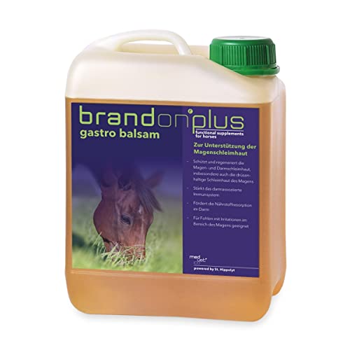 St. Hippolyt Brandon Plus GastroBalsam 2,5 L Magen-Darmschleimhaut Balsam St. Hippolyt Brandon Plus GastroBalsam 2,5 L Magen-Darmschleimhaut Balsam von St. Hippolyt
