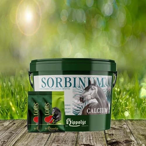 St. Hippolyt Sorbinum Calcium 10 kg + St. Hippolyt Lobs Belohnungswürfel 2 x 1 kg geschenkt St. Hippolyt Sorbinum Calcium 10 kg + St. Hippolyt Lobs Belohnungswürfel 2 x 1 kg geschenkt von St. Hippolyt