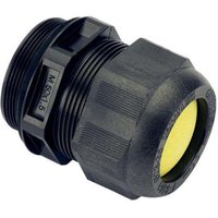 Stahl Exe Kabelverschraubung 81617M160902msMutter - 239155 von Stahl