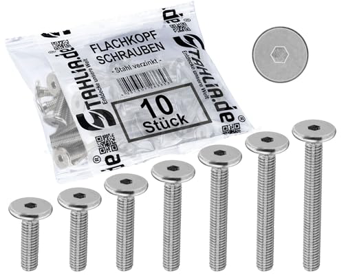 Stahlia 10x Flachkopfschrauben M6x10mm verzinkt Schrauben Set Rundkopfschrauben Möbelverbinder Schrauben Innensechskant M6 Schrauben Linsenkopfschrauben Möbelschrauben Verbindungsschrauben von Stahlia