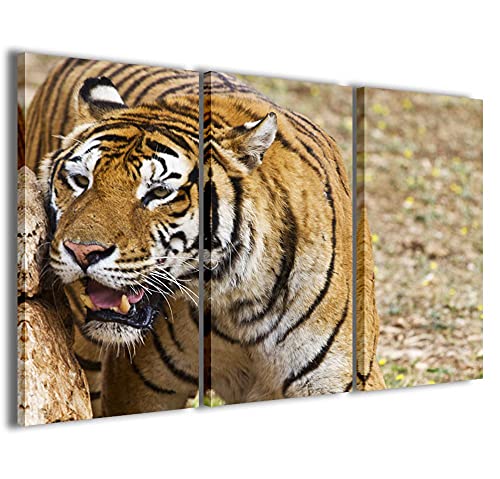 Druck auf Leinwand Alternativ, Digital Tiger moderne Bilder in 3 bereits gerahmten Paneelen, fertig zum Aufhängen, 120 x 90 cm von Stampe su Tela