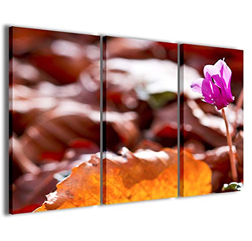 Druck auf Leinwand Blumen, Cyclamen Flowers Moderne Bilder in 3 Paneelen, fertig zum Aufhängen, 120 x 90 cm von Stampe su Tela