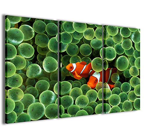 Kunstdruck auf Leinwand, Clownfish Anemone Quadri in 3 Paneelen, fertig zum Aufhängen, 120 x 90 cm von Stampe su Tela