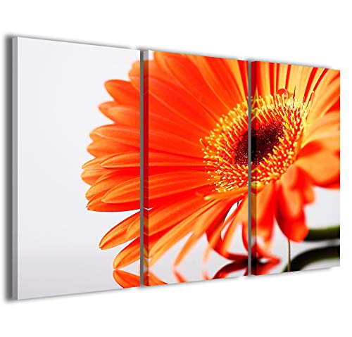 Kunstdrucke auf Leinwand Bloom Fantastische Blumen Moderne Bilder in 3 Paneelen bereits gerahmt Leinwand fertig zum Aufhängen, 100 x 70 cm von Stampe su Tela