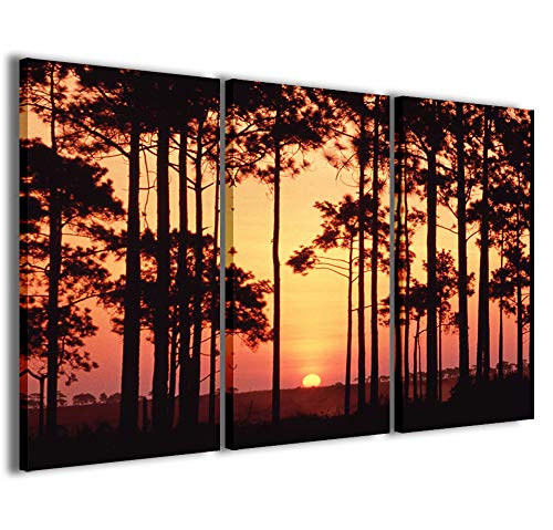 Leinwandbild, Sunset Through The Trees Sonnenuntergang durch die Bäume Moderne Bilder in 3 Paneelen bereits gerahmt, Canvas, fertig zum Aufhängen, 100 x 70 cm von Stampe su Tela