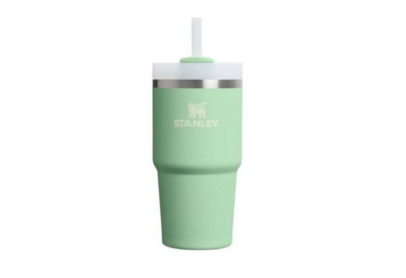 Stanley 1913 Thermoflasche Quencher® H2.0 FlowState™ Tumbler, Pistachio von Stanley 1913